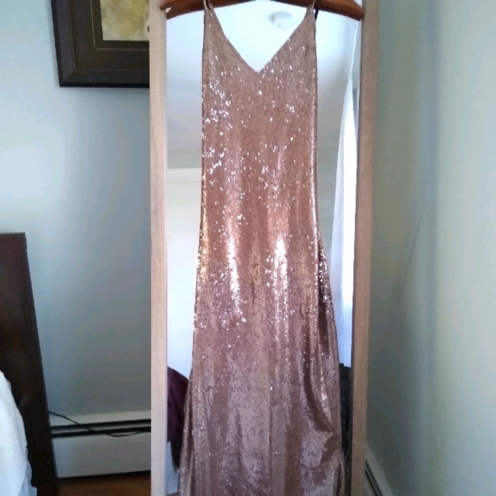 Champagne sequin Forever 21 maxi dress